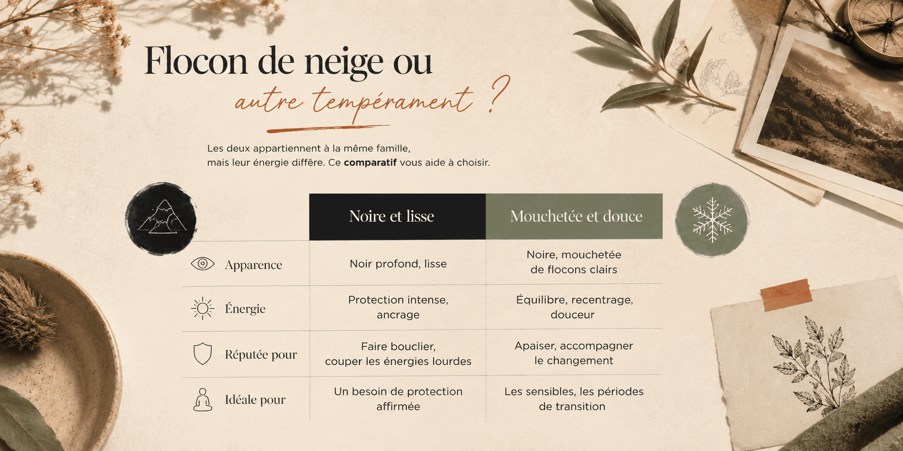 Comparaison entre une obsidienne noire lisse et une obsidienne flocon de neige mouchetée