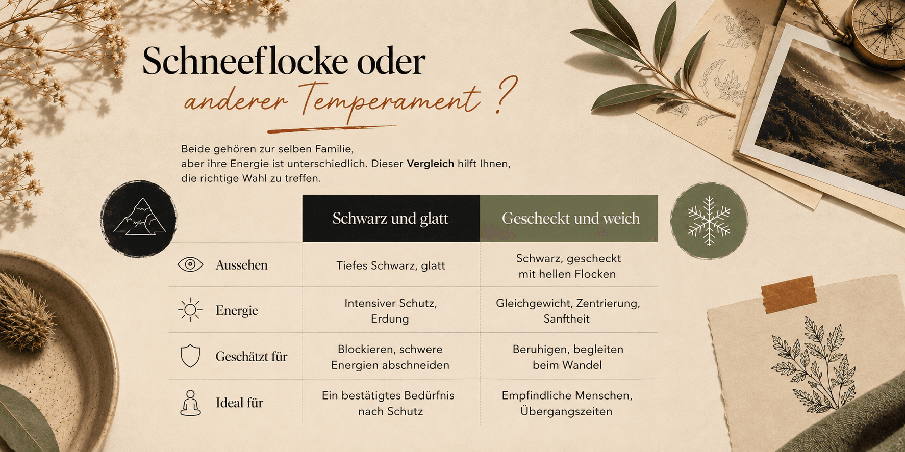Vergleich zwischen einem glatten schwarzen Obsidian und einem gesprenkelten Schneeflocken-Obsidian
